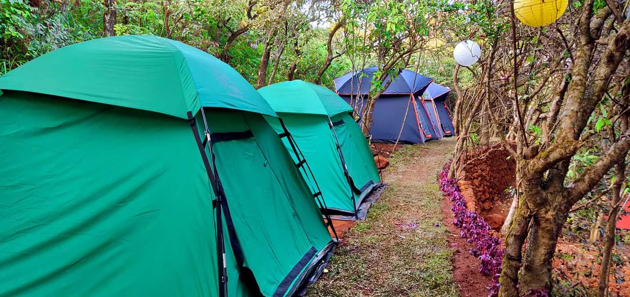 Camping in Mahabaleshwar Image