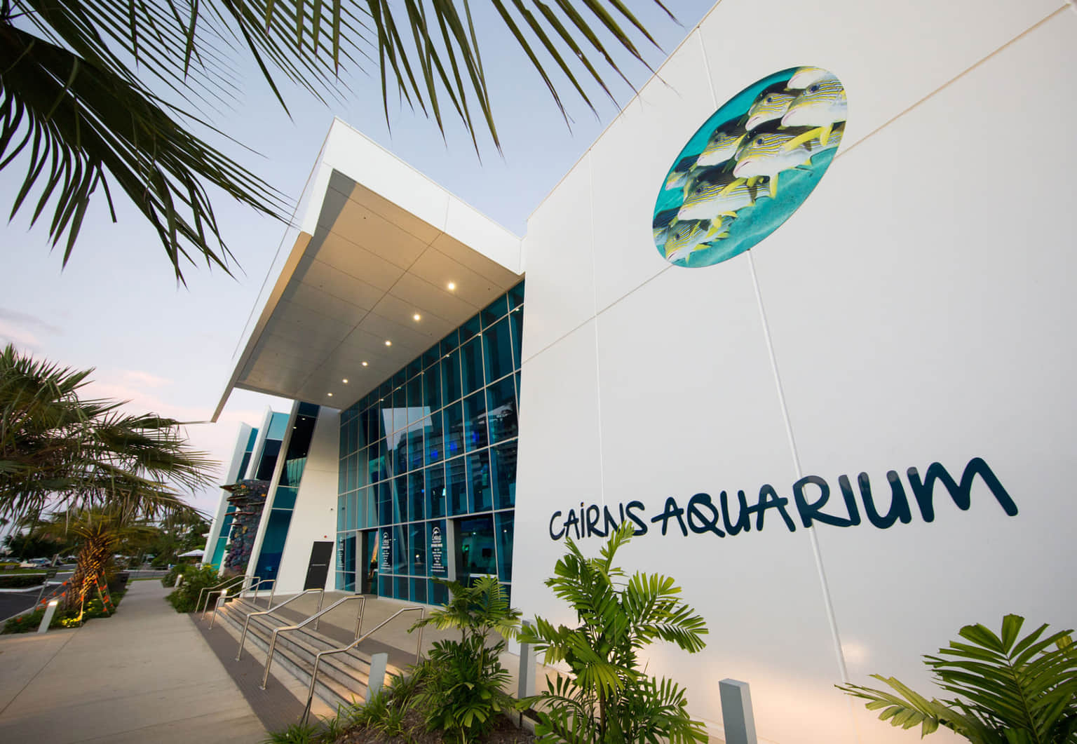 Explore Cairns Aquarium, famous for its vibrant marine life