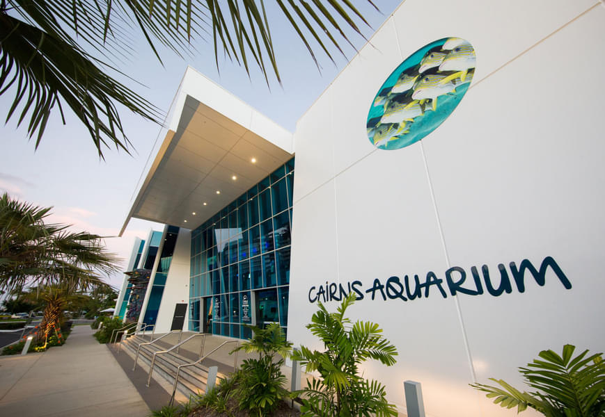 Cairns Aquarium Tickets Image