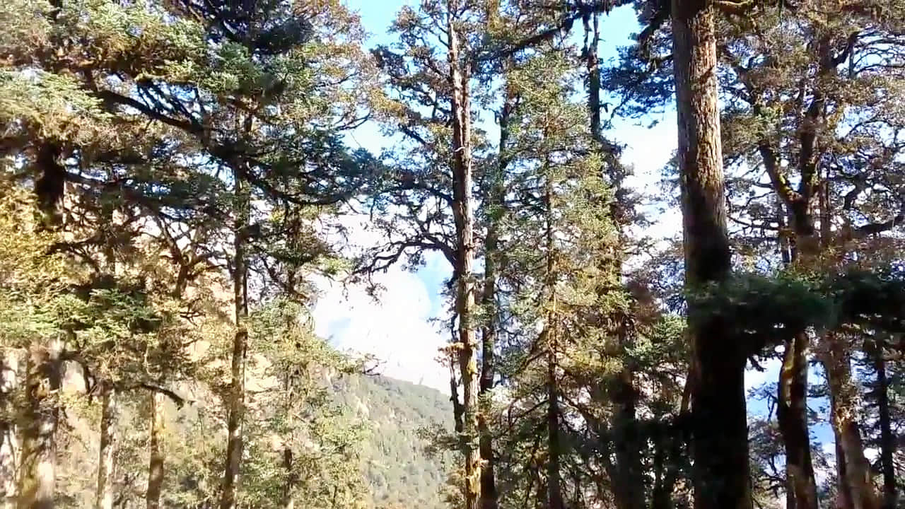 Photo from Ahilya Bhat's trip
