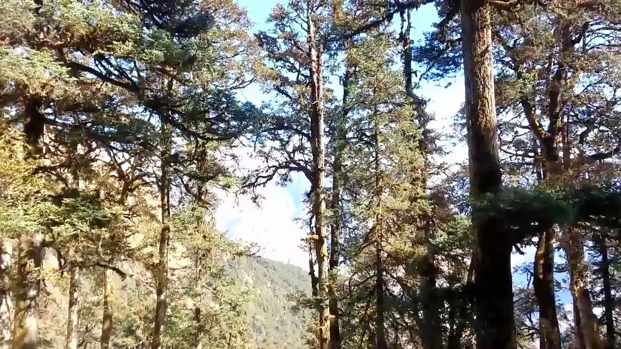 Photo from Ahilya Bhat's trip