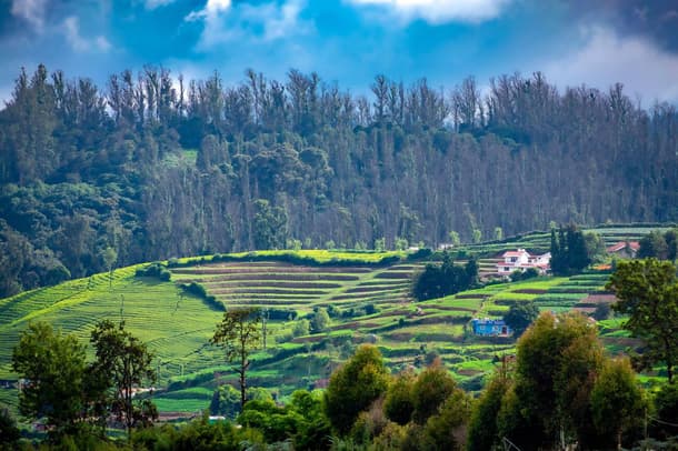 20 Best Places to Visit Near Madikeri - 2026 (Photos & Reviews)