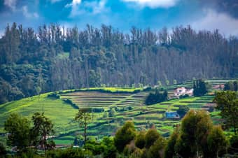 Escape to the Nilgiris on a scenic journey from Bangalore to Ooty and Coonoor