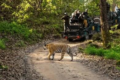 Enjoy Jeep & Walking Safari