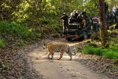 Enjoy Jeep & Walking Safari