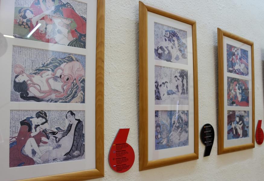 Gaze at many erotic artwork on display made by some renowned artists