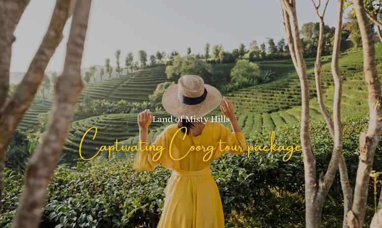 Explore the rustic charm of tea plantations