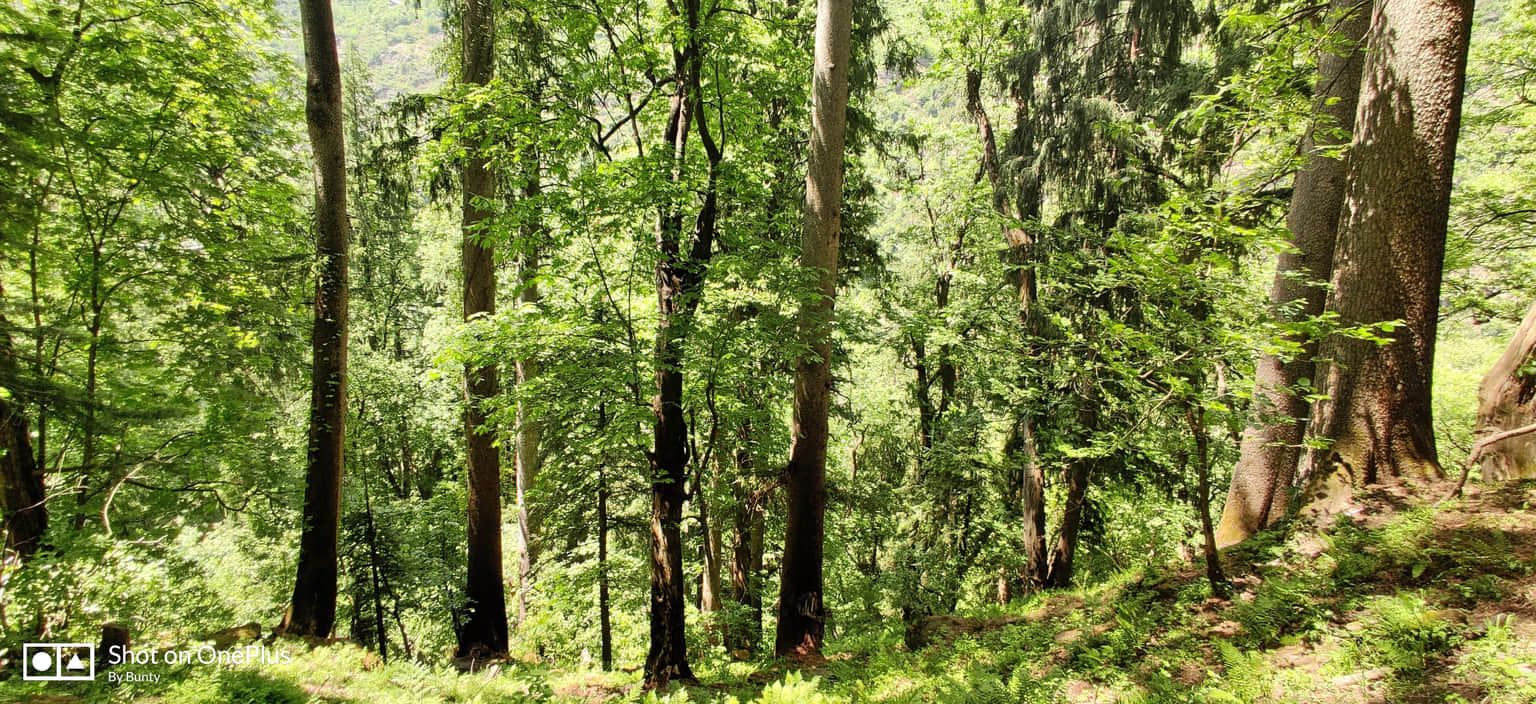 Photo from Shashi Kumar's trip