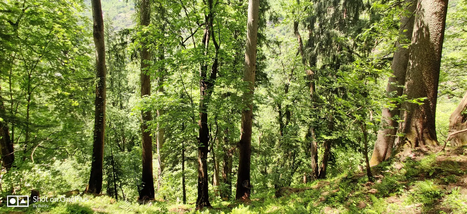 Photo from Shashi Kumar's trip