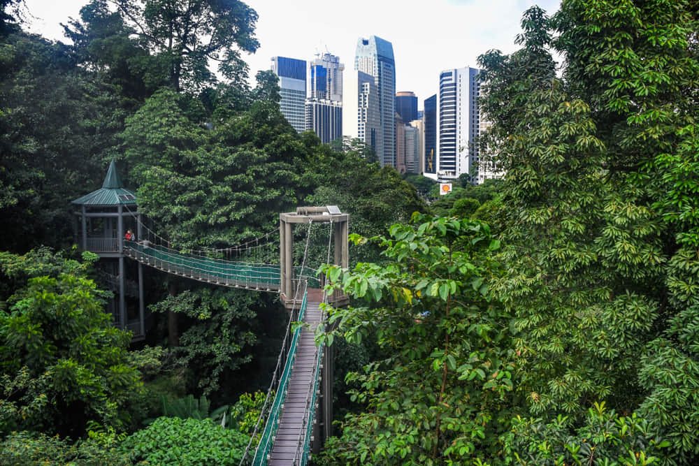 Kl Forest Eco Park, <em>Malaysia</em>
