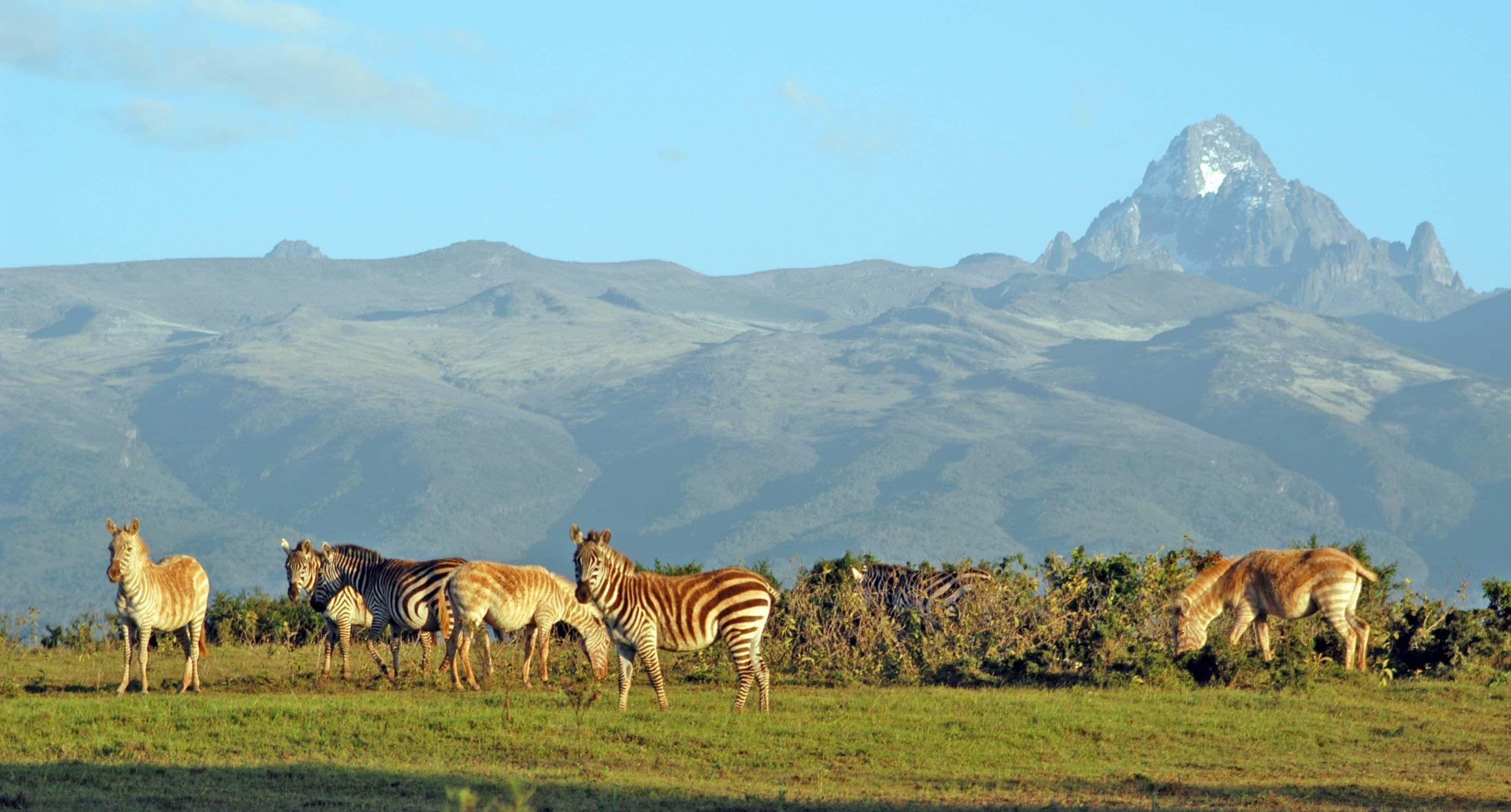 Mount-Kenya-National-Park.jpg