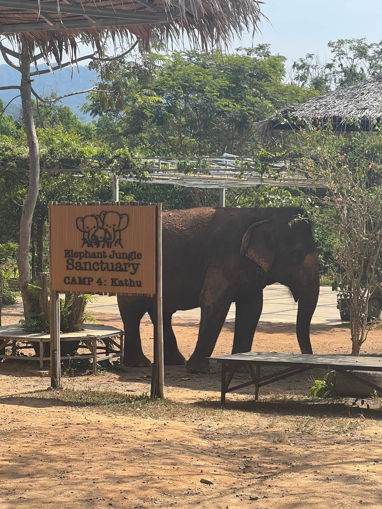 Traveller photo