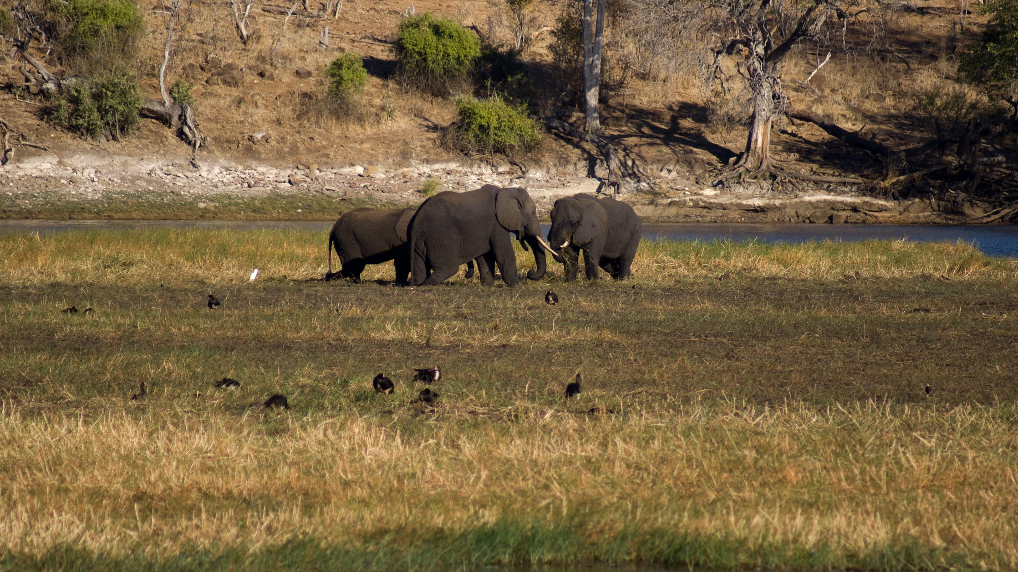 Chobe National Park