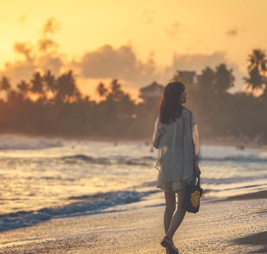 Sri Lanka Tour with Kosgoda Turtle Hatchery