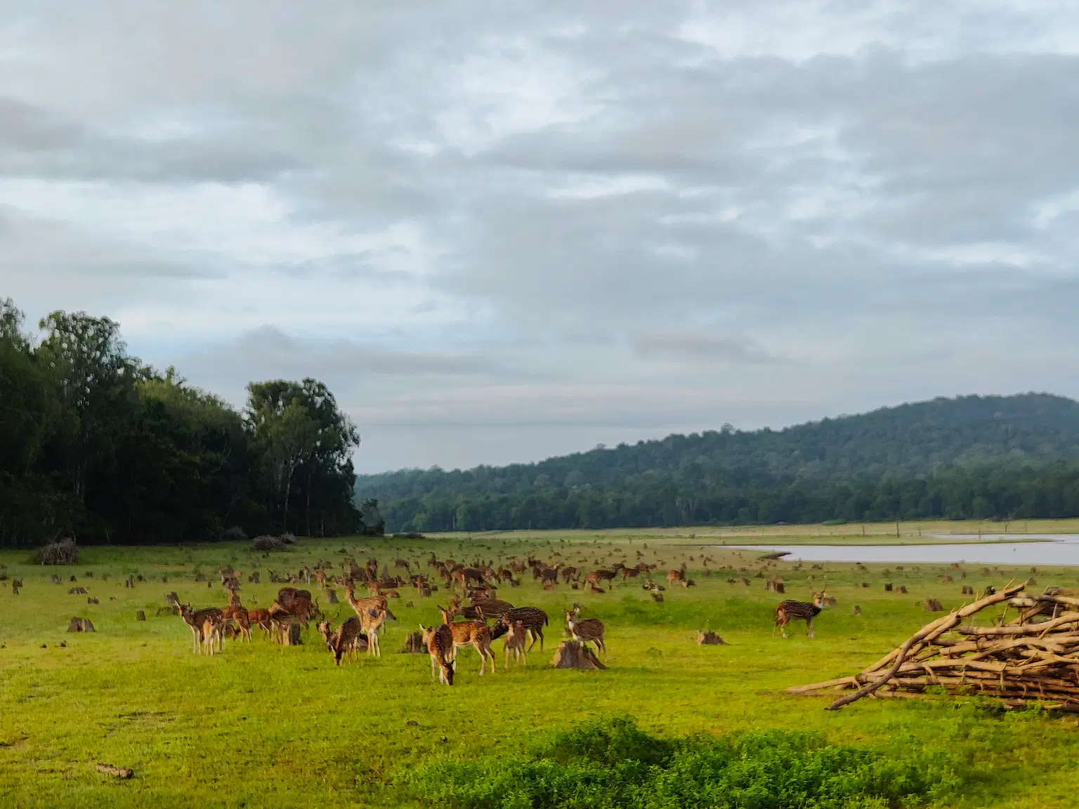 Photo from Priyam Mittal's trip