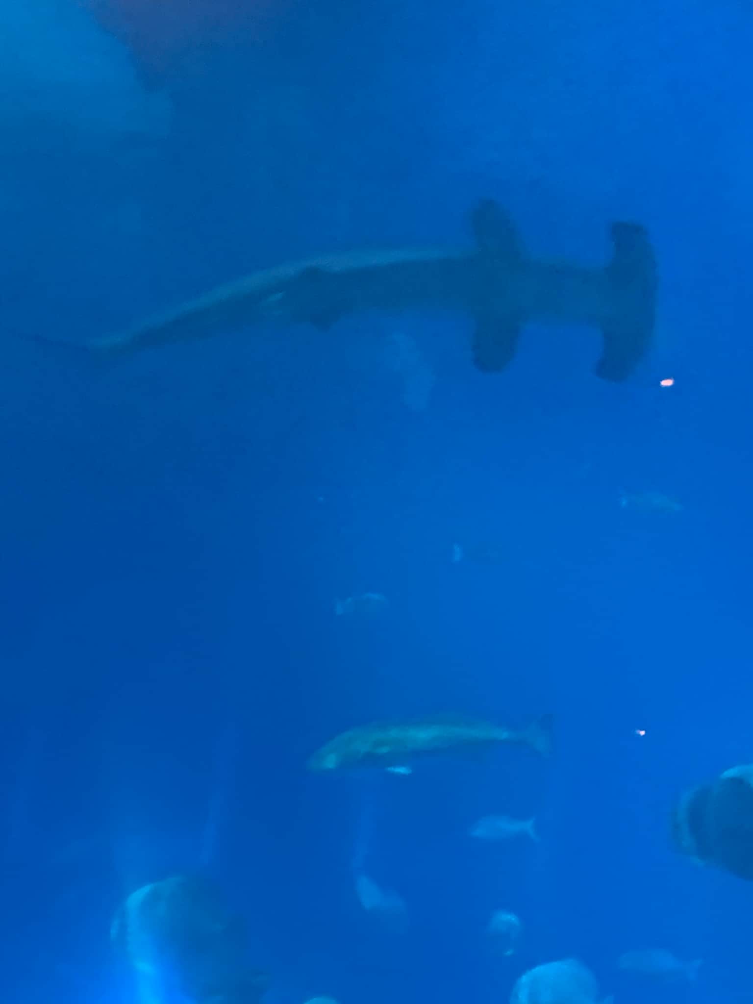 Photo from Sarah Dunne's trip