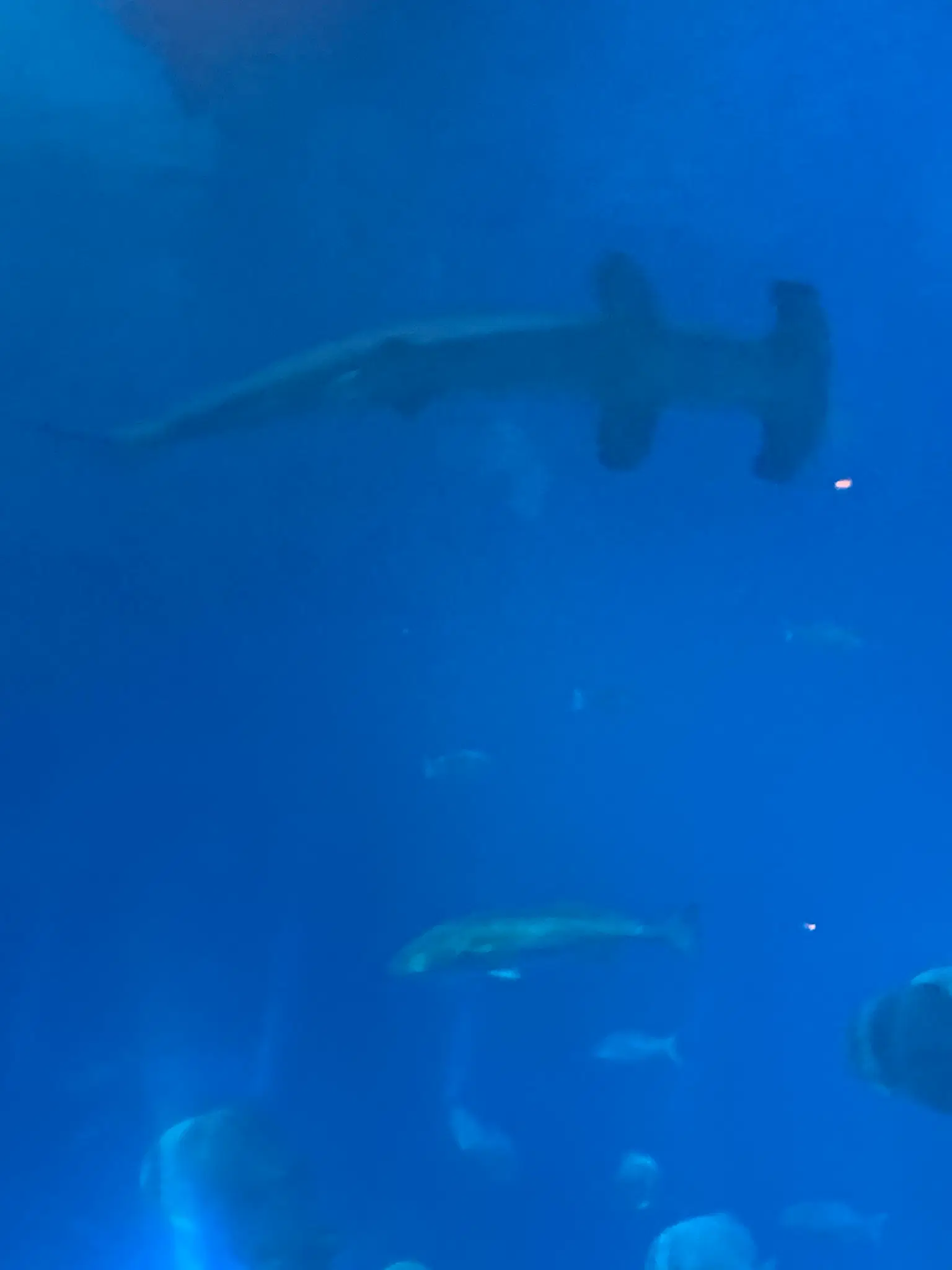 Photo from Sarah Dunne's trip