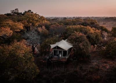 Fig Tree Bush Camp