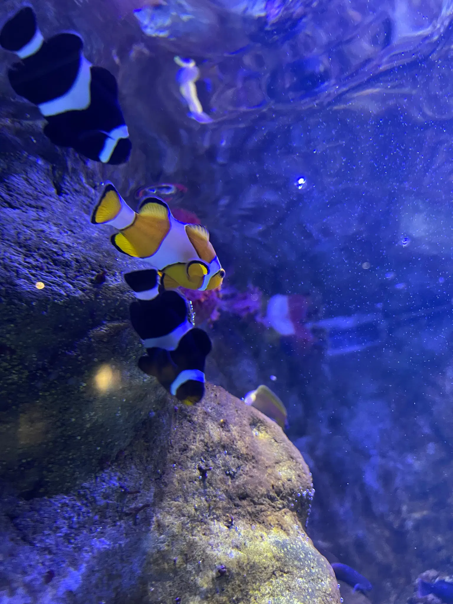 Photo from Eugenia 's trip