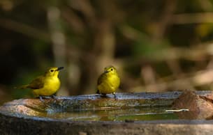 G0xhyfkka3t8uok1yh926724ac2l jiyv