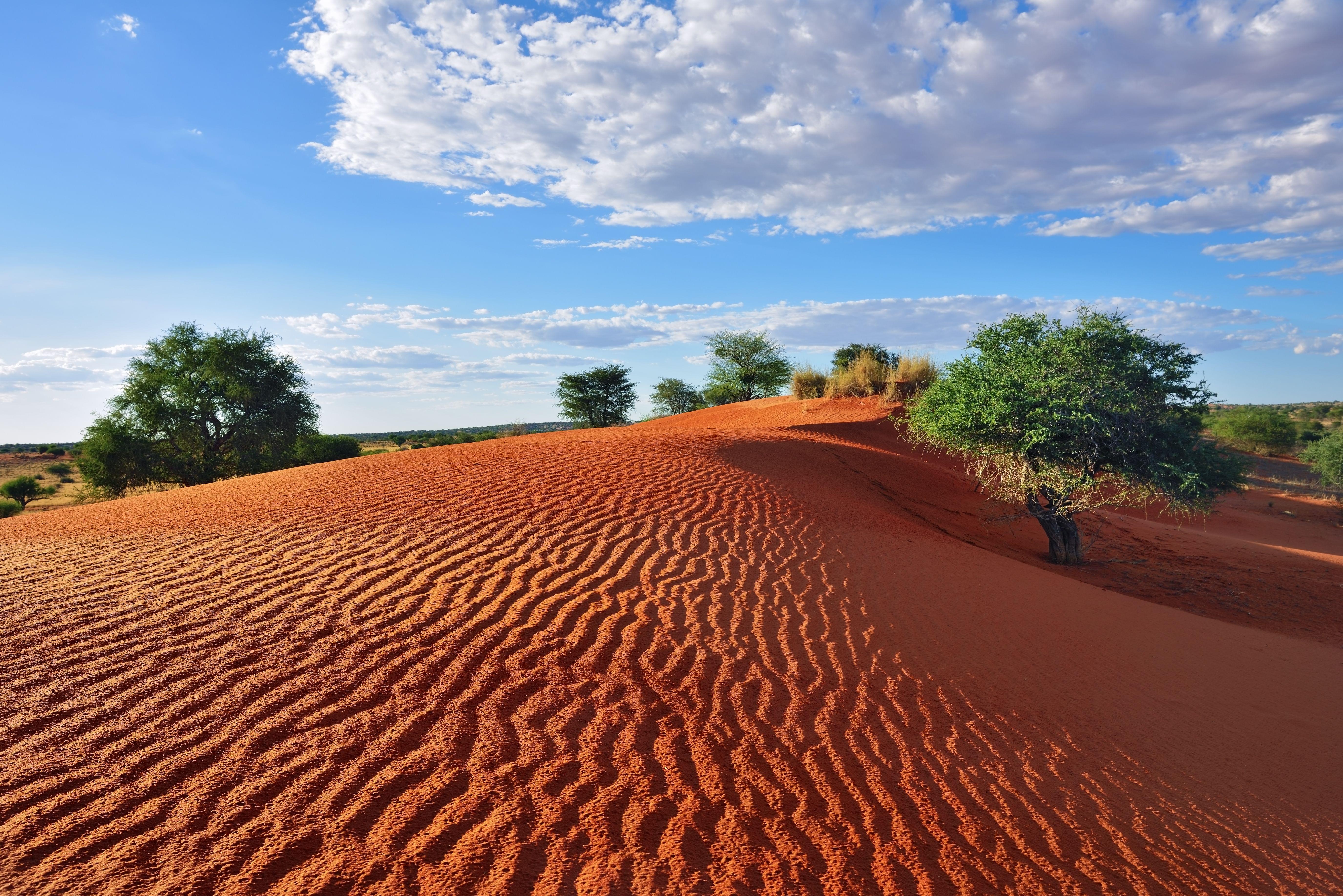 Experience the awe of the Kalahari Desert
