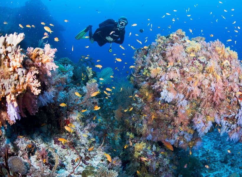 Sandies Bathala Resort, Maldives Image