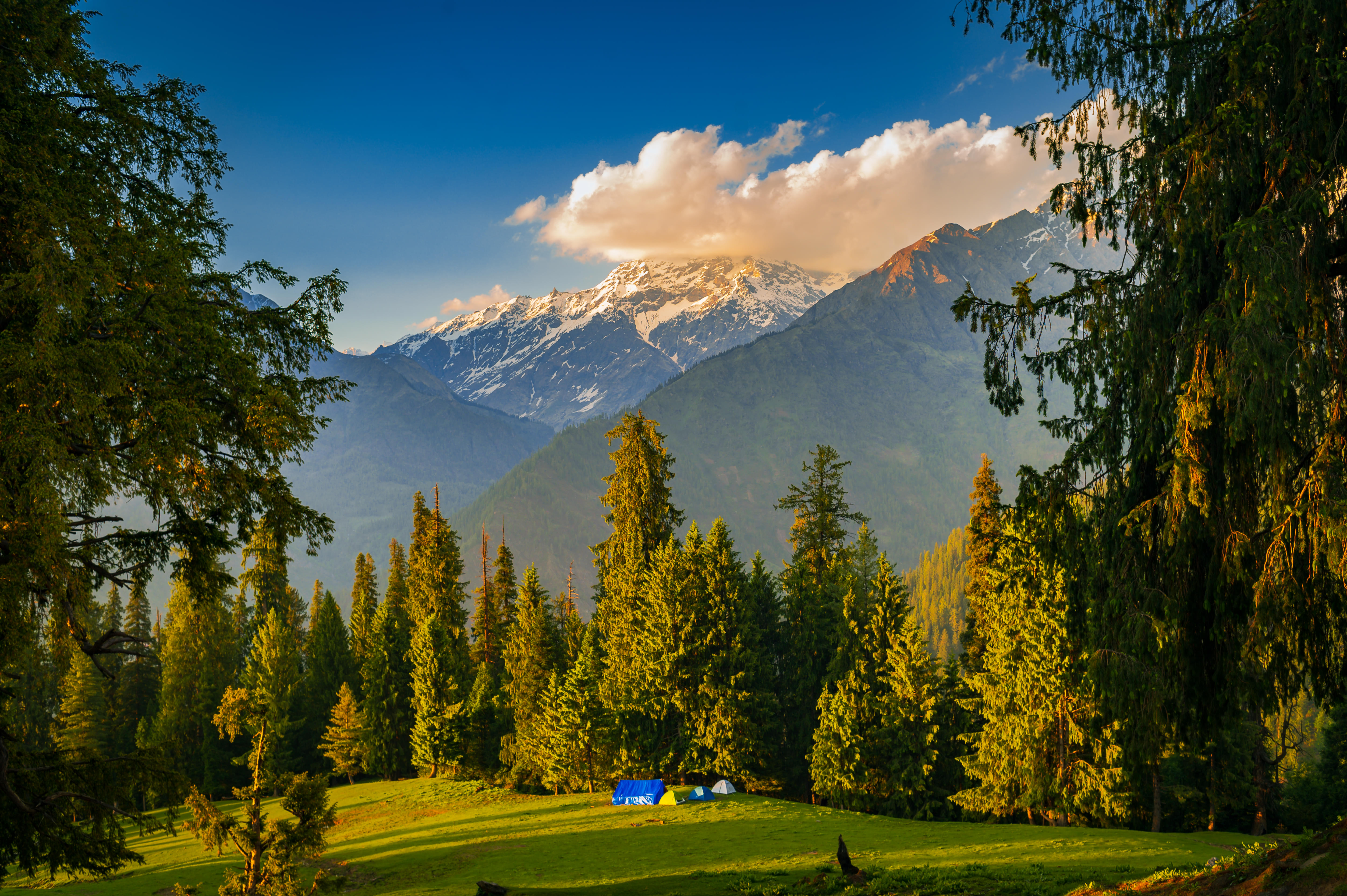 Best Rentals in Kasol