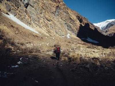 Rudranath Trek, Uttarakhand - Book Now | Hey Himalayas