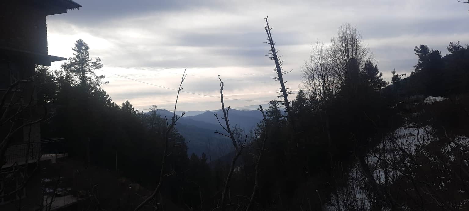 Photo from Purva Mandloi's trip