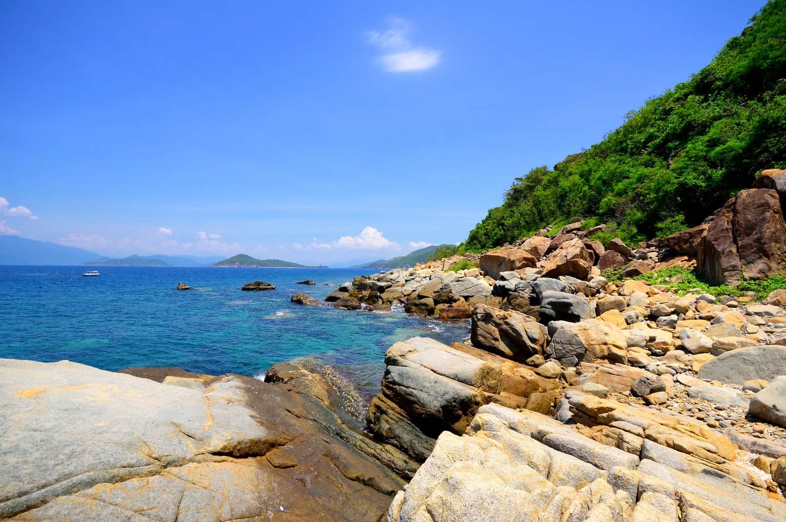 Discover the diverse marine ecosystem