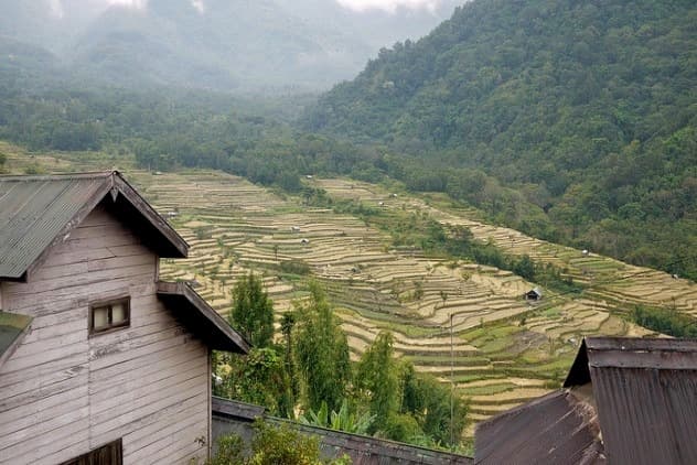 Adventure Trail In Nagaland Image