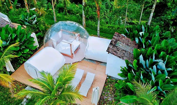 Jungle Bubble Lodge