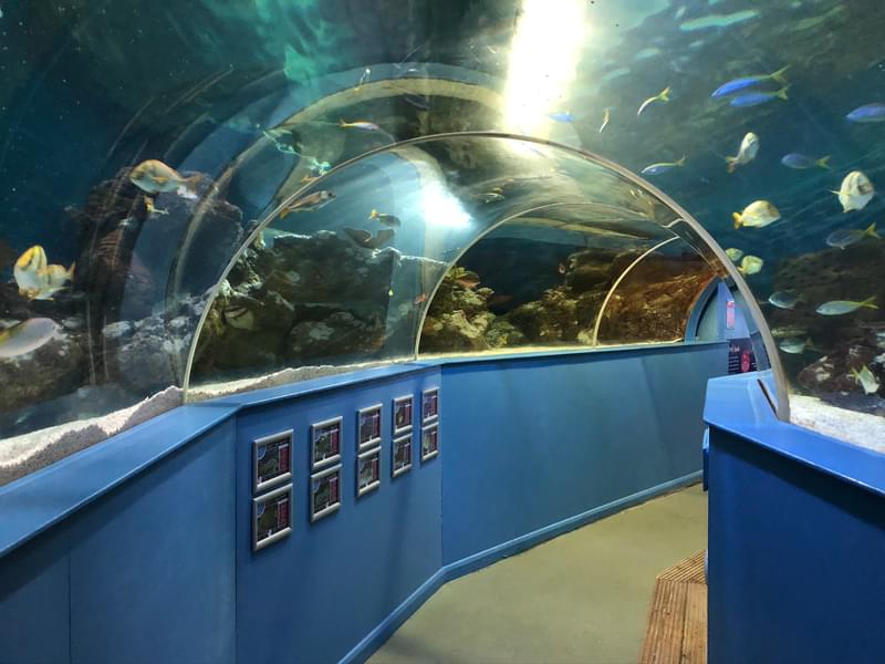 The Blue Reef Aquarium, Tynemouth