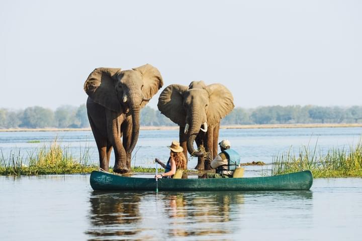 canoe safari.jpg