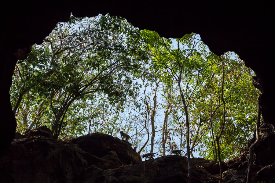 Step inside the amazing Monkey Cave (Suwankuha Temple) & see the giant scupture of reclining budha