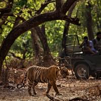 discover-jim-corbett-tour-package