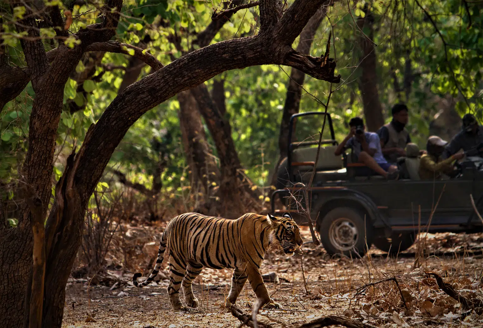 Jim Corbett Tour Package with Nainital