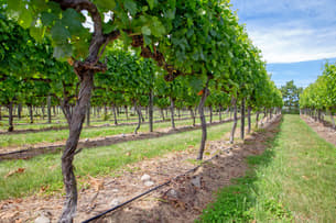 G454fiwwjilc4nu8hg0ij9umif2k 1583133197 shutterstock 1283108038