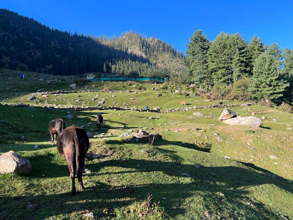 Photo from Sanjaya Prakash's trip