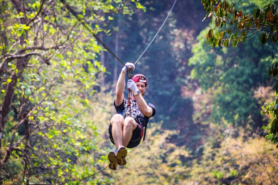 What To Expect From Flight Of The Gibbon Chiang Ma?