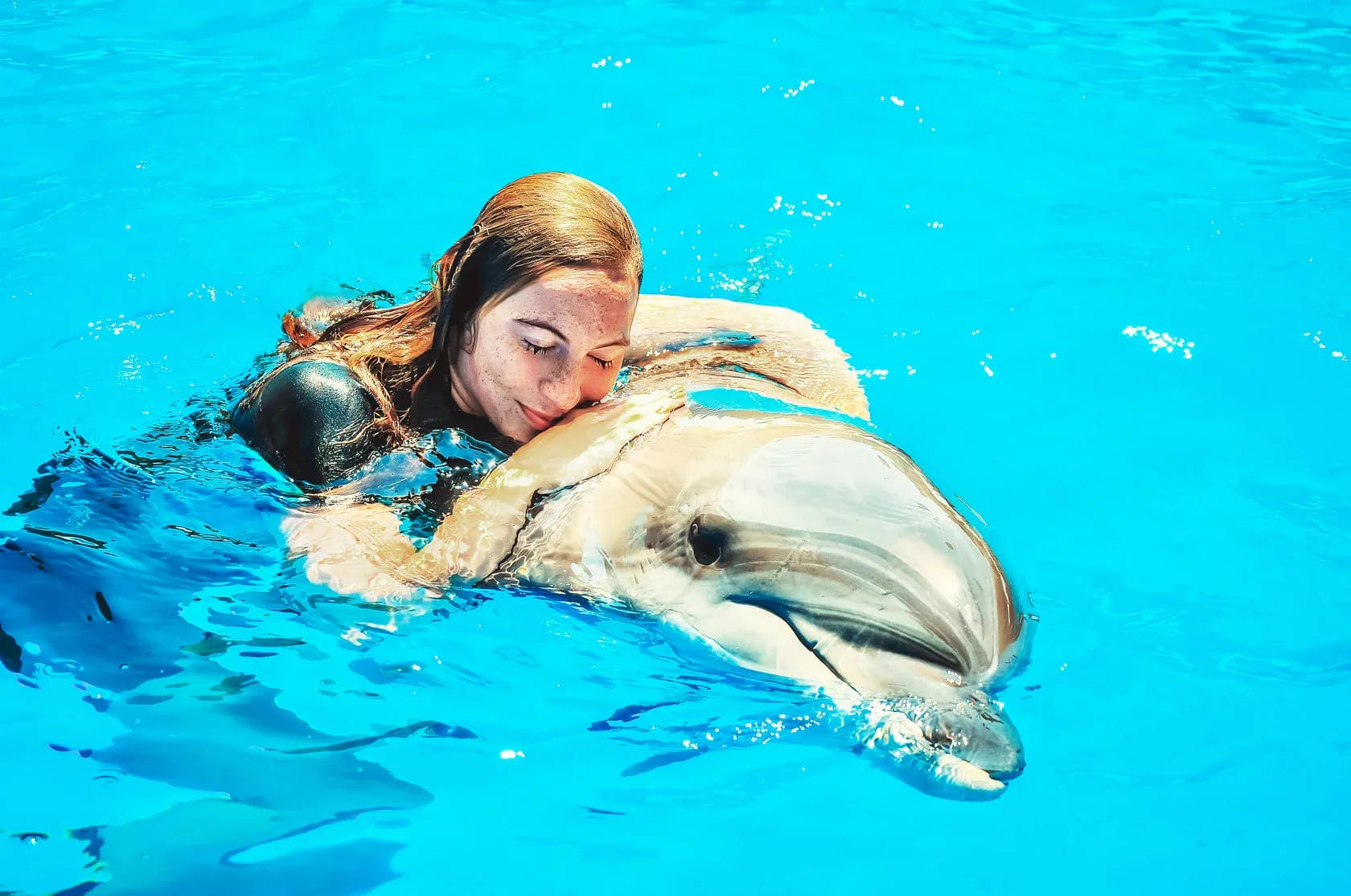 Dolphin Bay Phuket