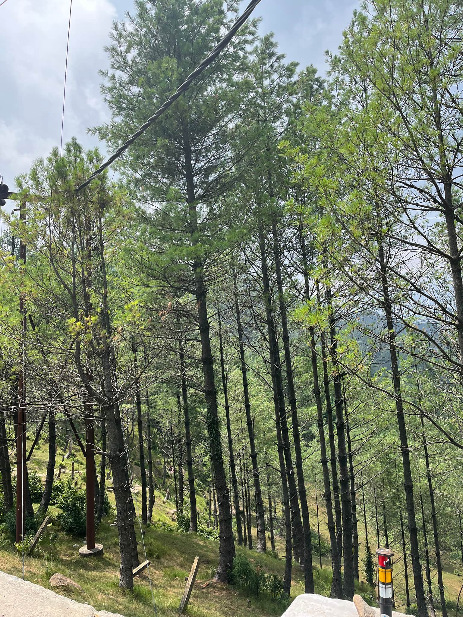 Photo from Gayatri Bhamidipaty's trip