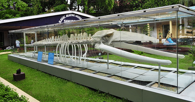 Marine Aquarium and Museum, <em>Lakshadweep</em>