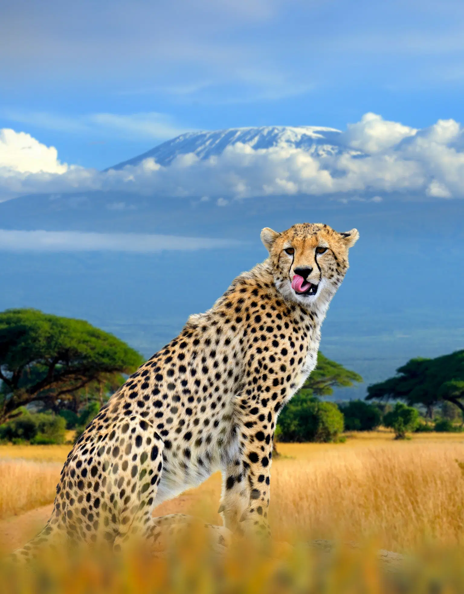 <em>Kenya</em> Tour Packages From Cochin 