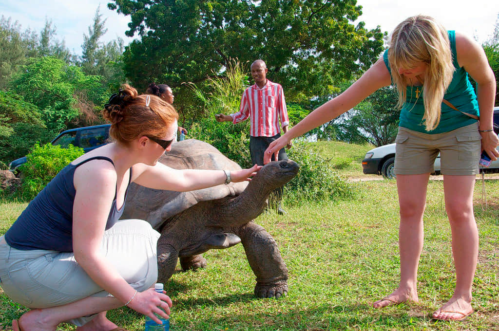 Haller Park, <em>Mombasa</em>
