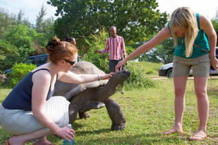 G65mrdc58y4ddl7lf3t6nj3p9tdq 1481609149 5011418845 998e0839be b