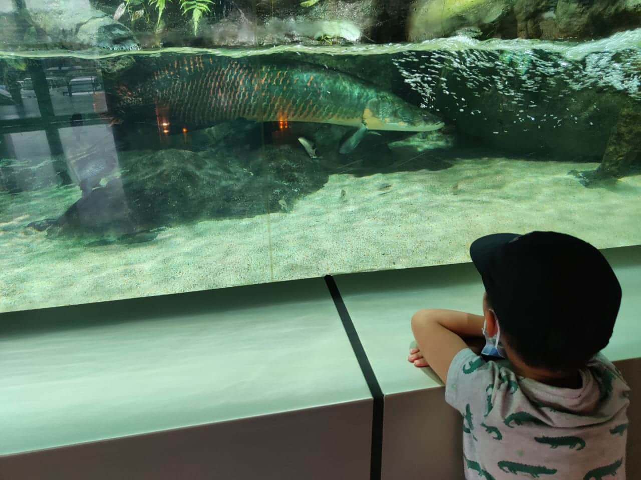 Photo from Mohd Haidar Abdul Razak's trip