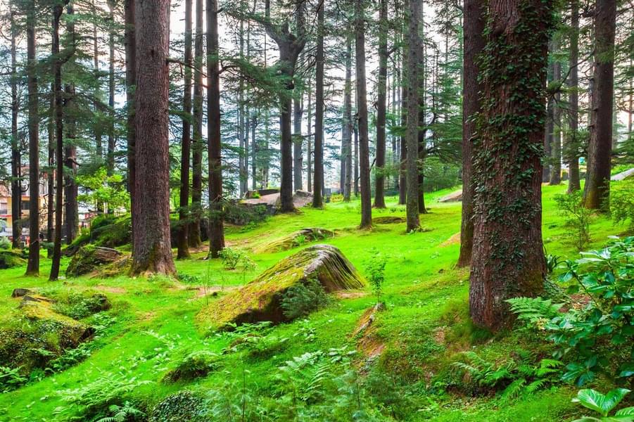 Manali Spiritual Guided Walking Tour Image