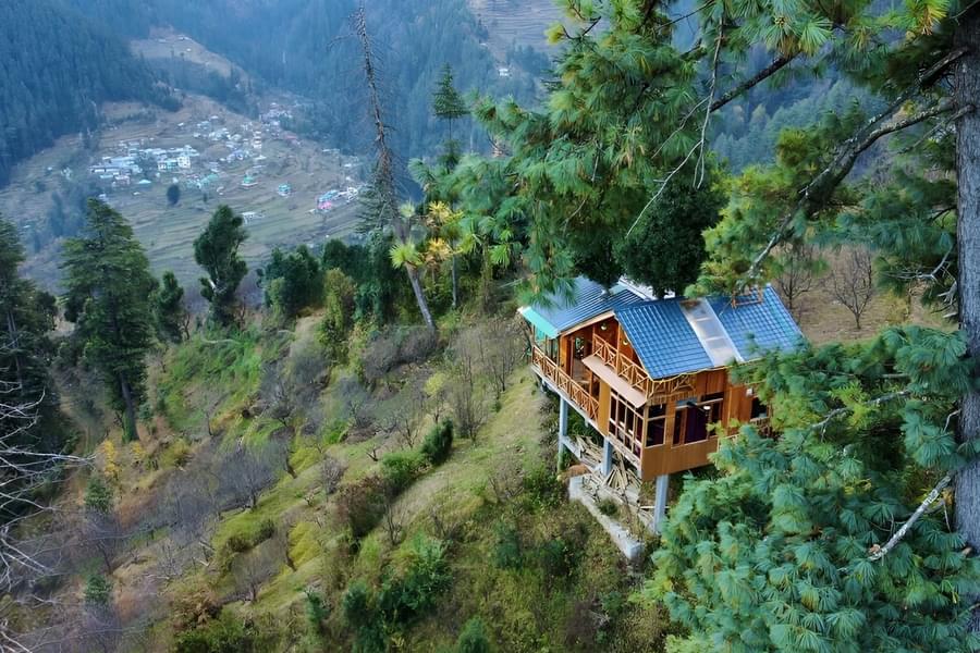 Luxury Panoramic Himalayan Treehouse Stay Image