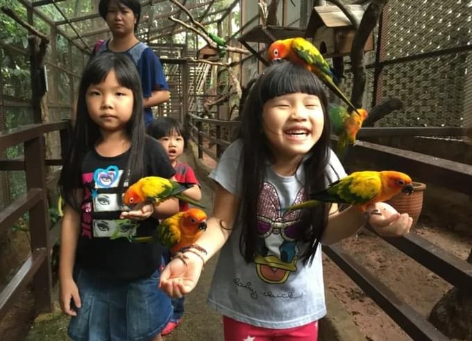 KL Tower Mini Zoo